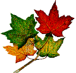 [fall_thanks38[2].gif]