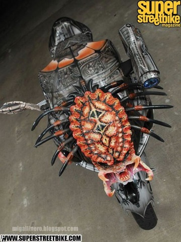 [zzzpredator_bike_13[5].jpg]