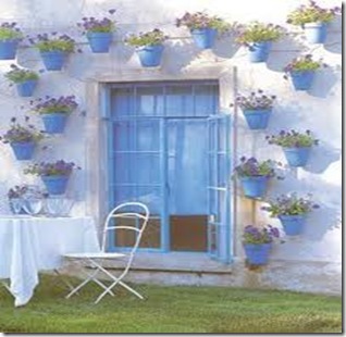imagesbi