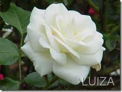 CAN9MU94CAMZ09MDCARY9VFICARTJSY9CA4606KICA3PH3T4CA785WMACA3G0R8TCAARZ1M0CAGROYHZCA9LUWZGCASXLM0ECAHGI2WNCAYKYYPDCATS0GA9CA2256VBCAQAZQ3NCAVEC2JU