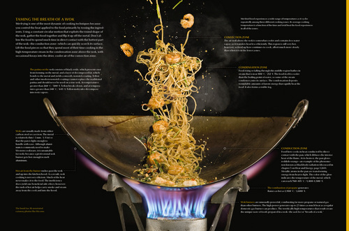 Wok from Modernist Cuisine