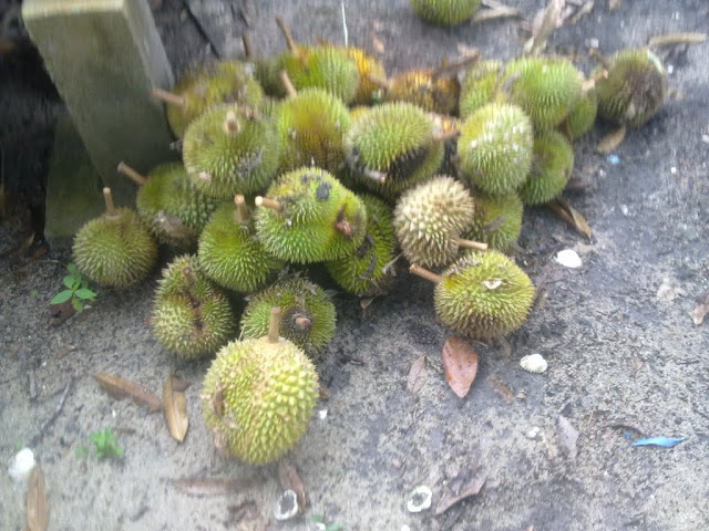 30012011039.jpg