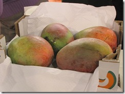 IMG_1698 IMG_1698