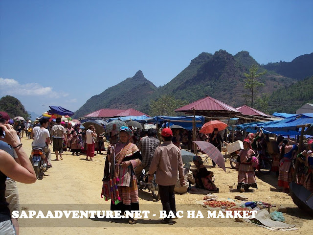 SAPA-BACHA.jpg