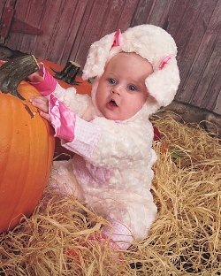 [6bf1f3ad-c558-4189-b27f-d7b7329a4c6fw[2].jpg]