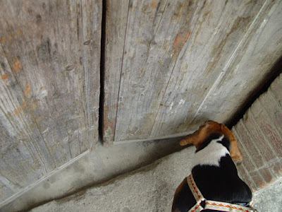 [Event]客家印象．08'巡迴展：竹北六家新瓦屋參觀心得！ - 阿祥的網路筆記本