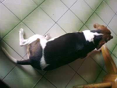 [Mobile]Nokia 5800 XpressMusic入手！不過不是我的… - 阿祥的網路筆記本