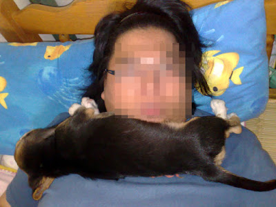 [Dog]毛豆滿兩個月了！ - 阿祥的網路筆記本