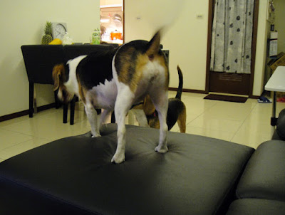 [Home] 新居入宅囉！第一天小記！ - 阿祥的網路筆記本