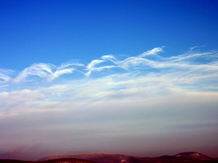 P1050155.JPG