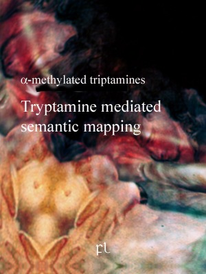 [Tryptamine mediated semantic mapping Cover[5].jpg]
