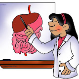 science_digestive_system_chart.jpg