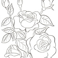 Dibujos De Flores Para Colorear Por Ninos