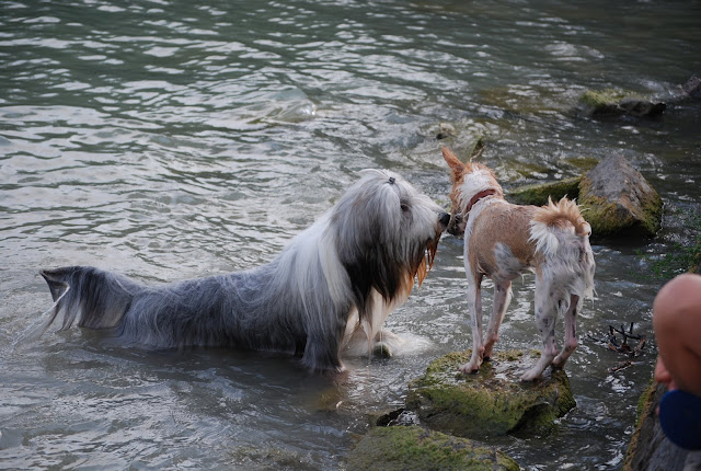 DSC_0158.jpg