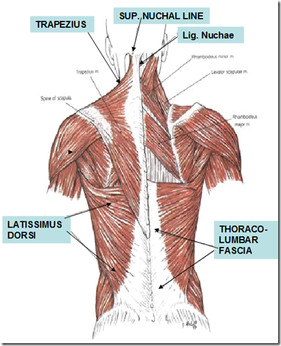 image_thumb1