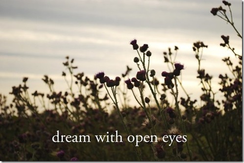 dream-with-open-eyes_55688880_large