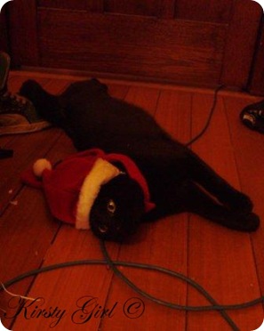 Christmas Cat #2