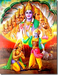 Krishna's universal form