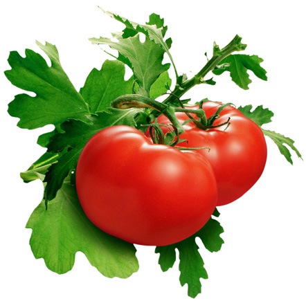 [skin-care-tecniques-with-the-humble-tomato[4].jpg]