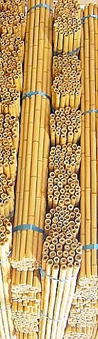 [tonkin_bamboo_poles[20].jpg]