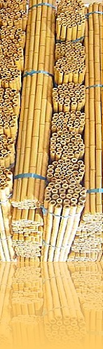 tonkin_bamboo_poles