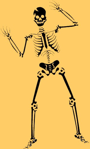 [skeleton[3].jpg]
