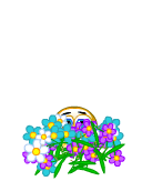 smiles%20scraps%20xururucas%20flores.png