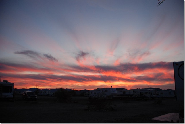 01-29-10 Hi Jolly Quartzsite 014