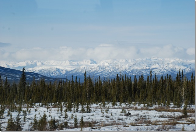 04-25-09  B Alaskan Highway - Yukon 025