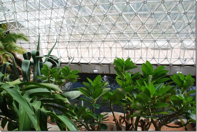 10-25-10 Biosphere 2 034