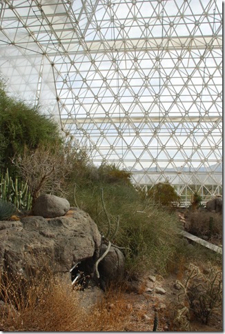 10-25-10 Biosphere 2 054
