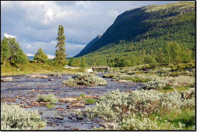 Frya Rondane