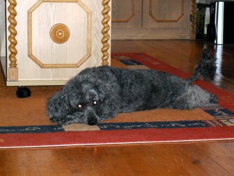 DSCF0680.JPG