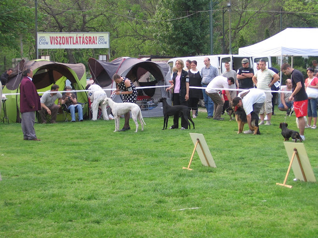 IMG_7479.JPG
