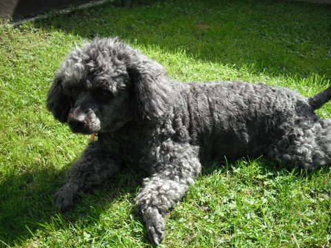 2010_.JPG