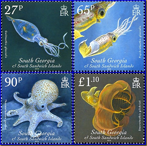 Cephalopods setajpg-tile