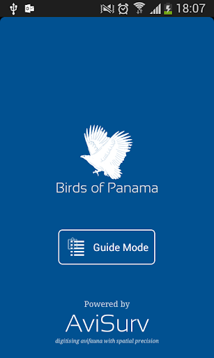 Birds of Panama