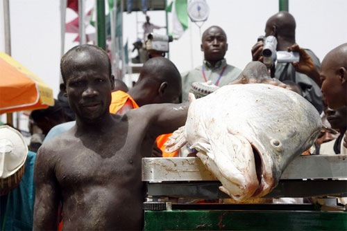 [nigeriafishing14[2].jpg]