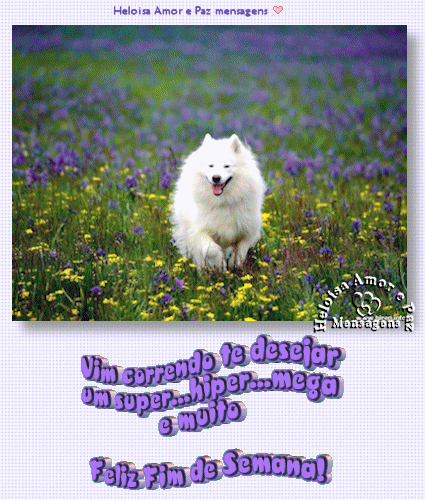 vimcorrendofimdesemana.png