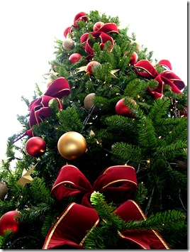 Christmas_tree_sxc_hu