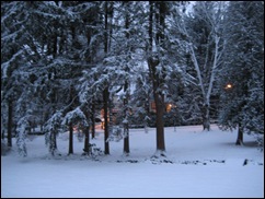 Snowy Twilight