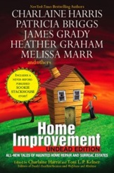 home-improvement-comp-198x300