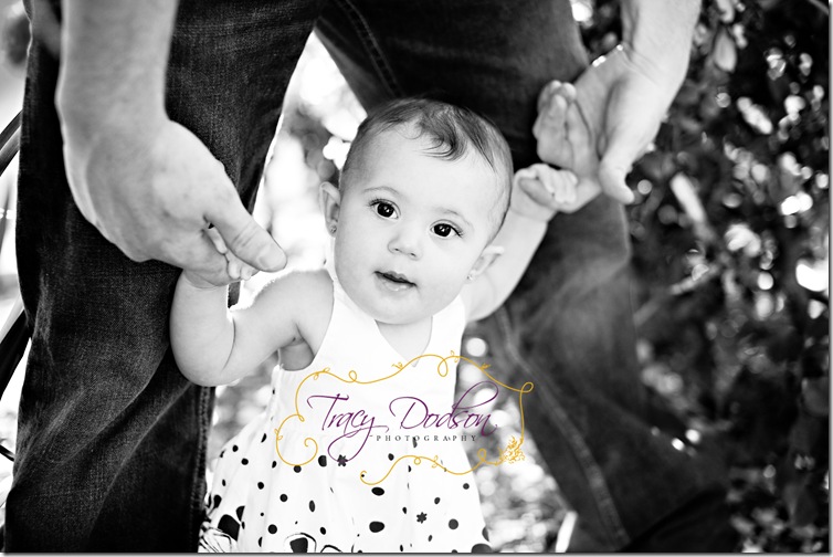 6 Month Baby Tracy Dodson PHotography_005