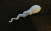 sperm-usb-flash-drive