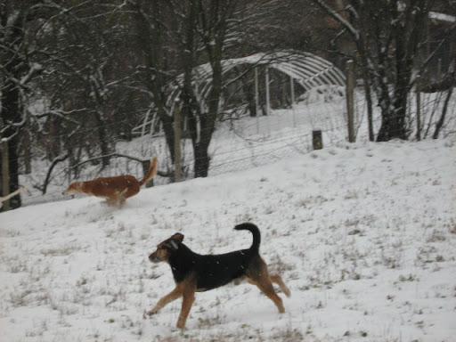 IMG_6909.JPG