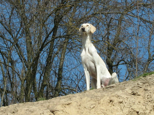 IMG_7517.JPG
