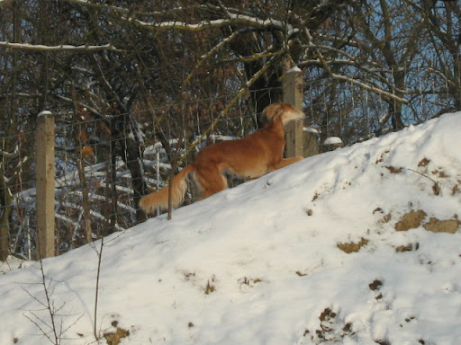 IMG_6353.JPG