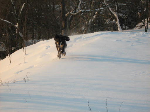 IMG_6533.JPG