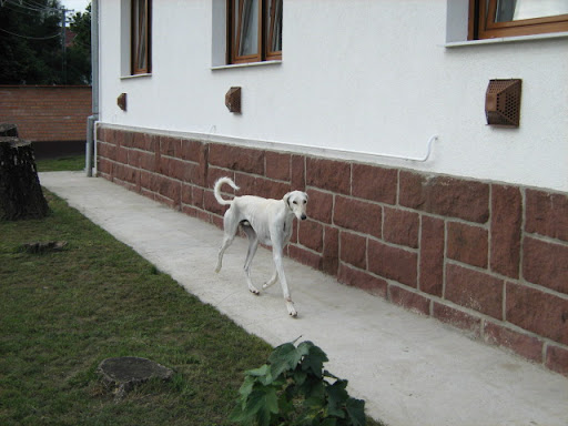 IMG_9758.JPG