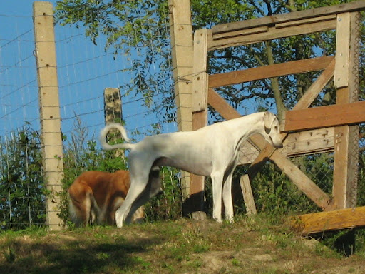 IMG_0249.JPG